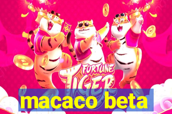 macaco beta