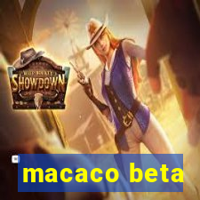 macaco beta