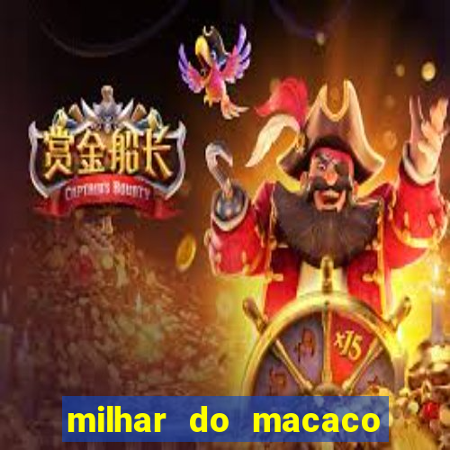 milhar do macaco que mais saem no jogo do bicho