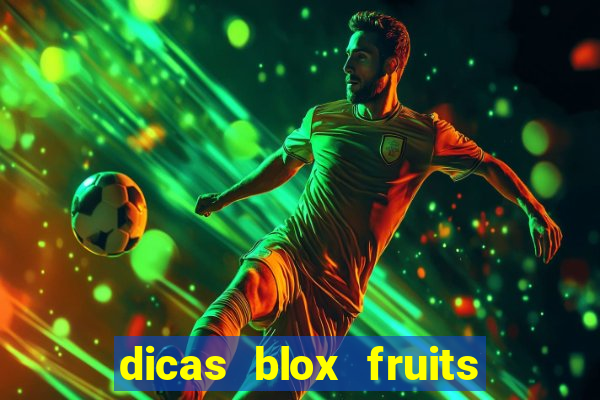 dicas blox fruits sea 1