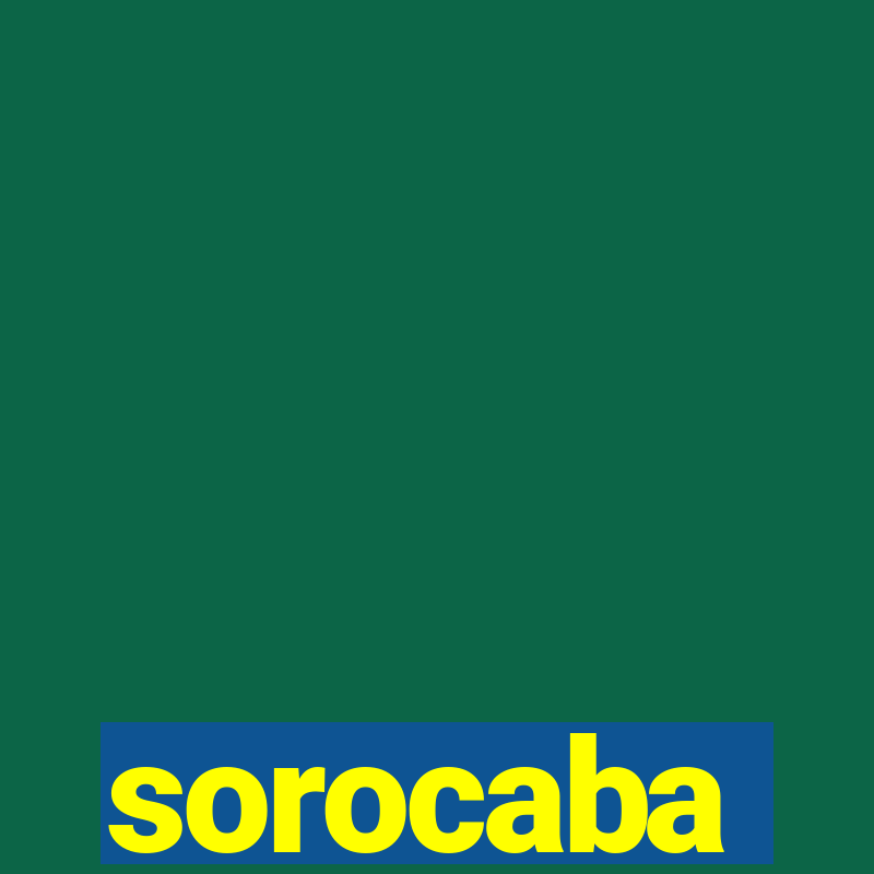 sorocaba popula莽茫o 2024