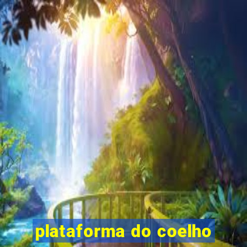 plataforma do coelho