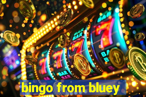 bingo from bluey