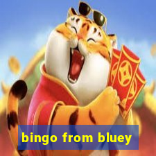 bingo from bluey