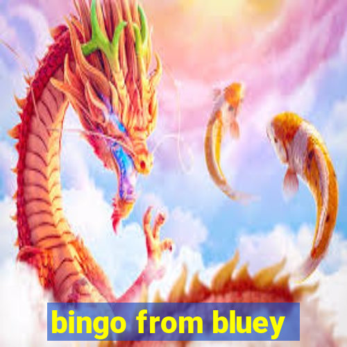 bingo from bluey