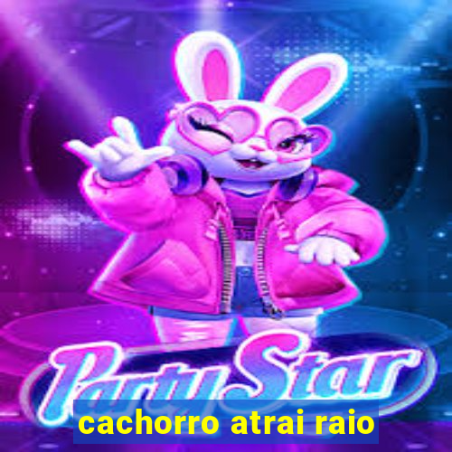 cachorro atrai raio