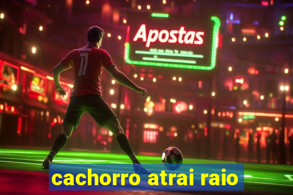 cachorro atrai raio