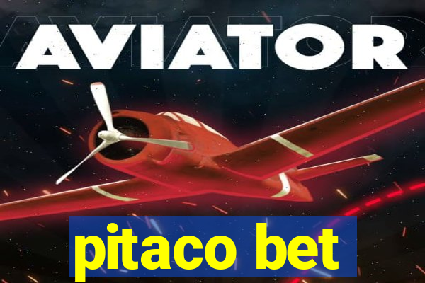 pitaco bet