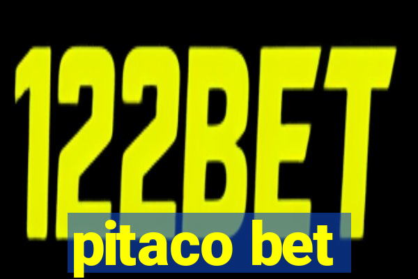 pitaco bet