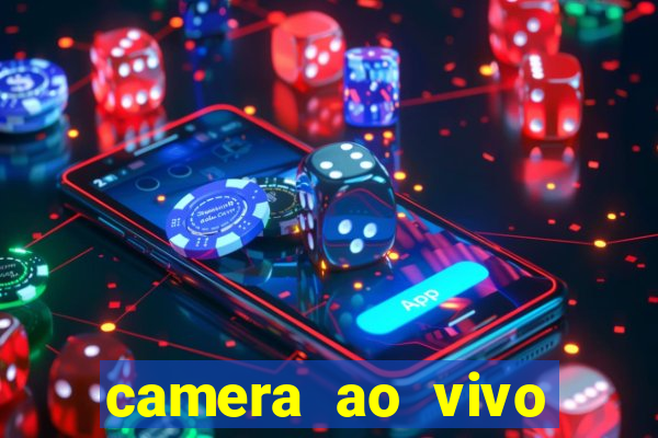 camera ao vivo beto carrero