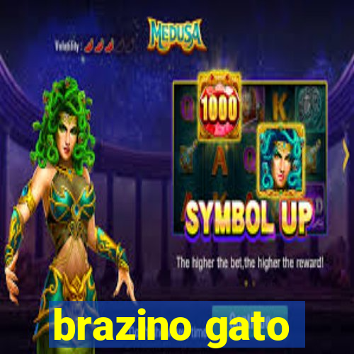 brazino gato