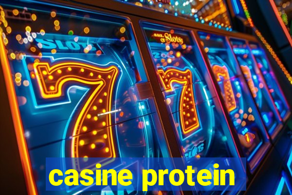 casine protein