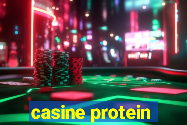 casine protein