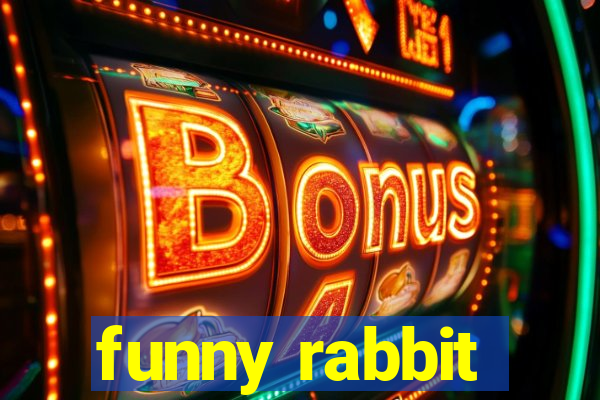 funny rabbit