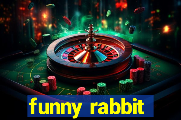 funny rabbit