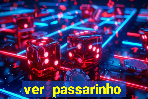 ver passarinho morto significado