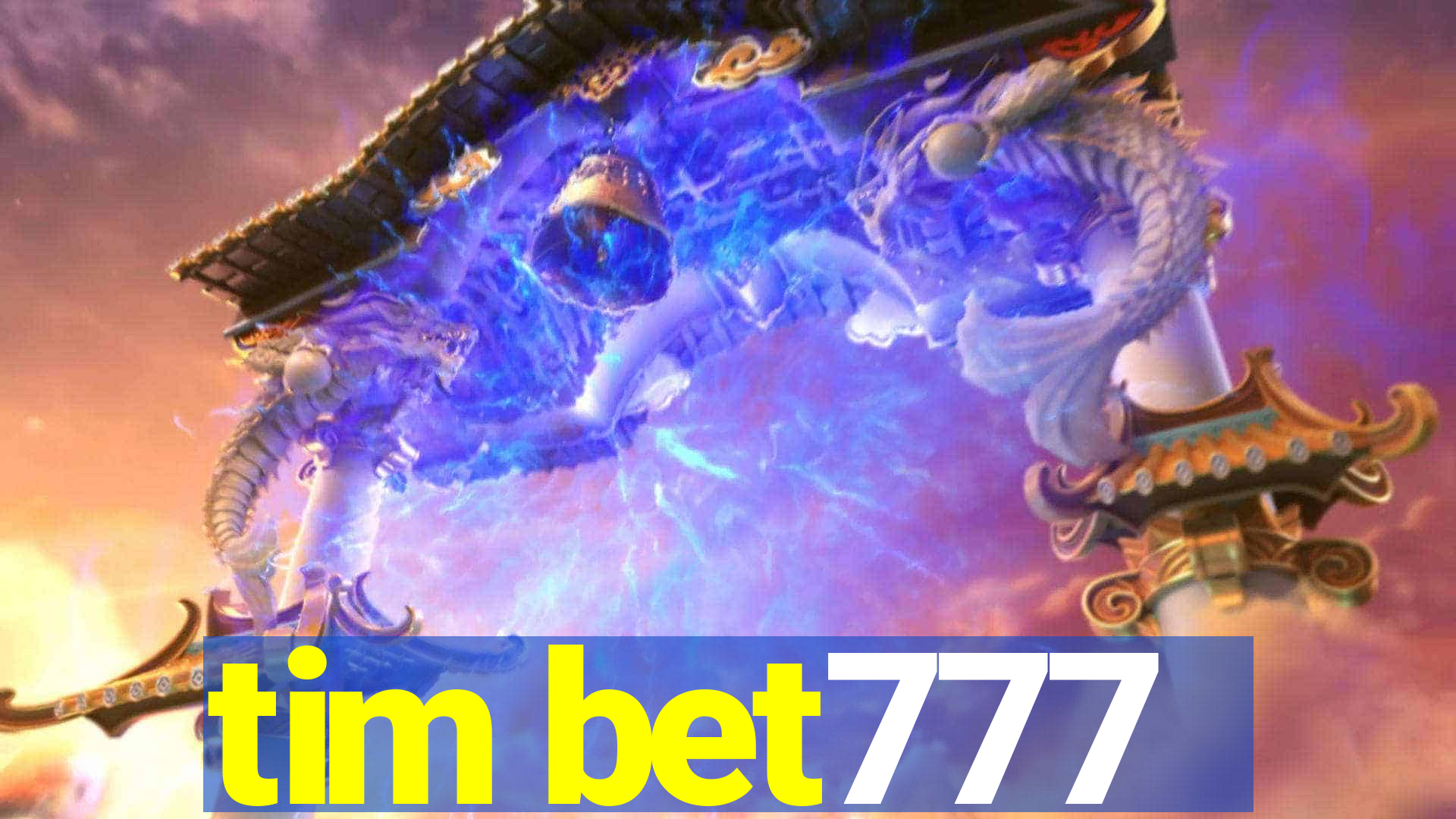 tim bet777