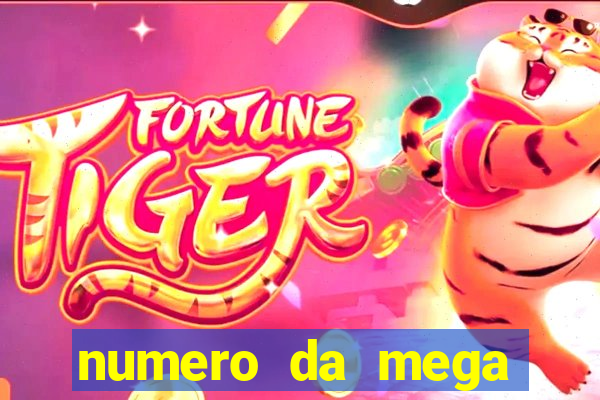 numero da mega sena de onten