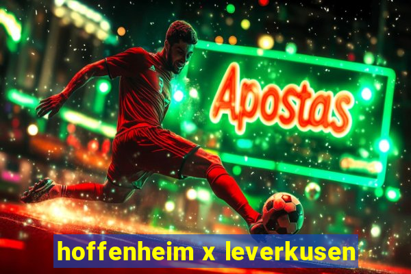 hoffenheim x leverkusen