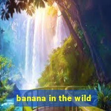 banana in the wild