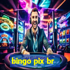 bingo pix br