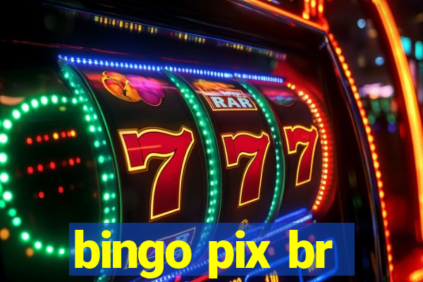 bingo pix br