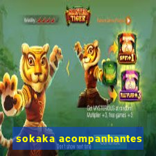 sokaka acompanhantes