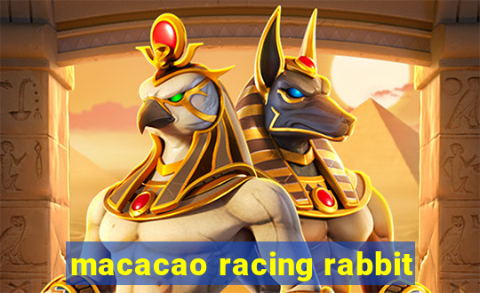 macacao racing rabbit