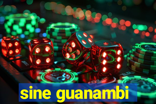 sine guanambi