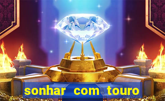 sonhar com touro mega sena