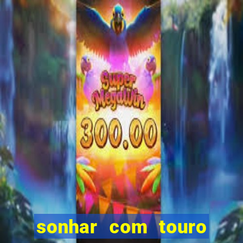 sonhar com touro mega sena