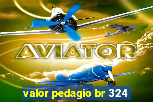 valor pedagio br 324