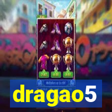 dragao5