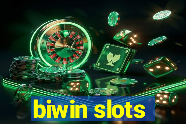 biwin slots