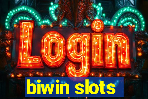 biwin slots