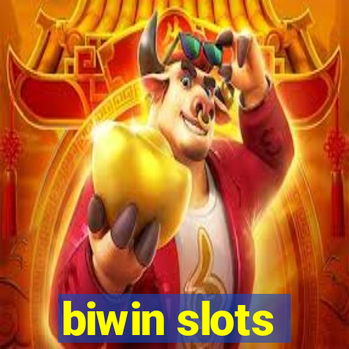 biwin slots