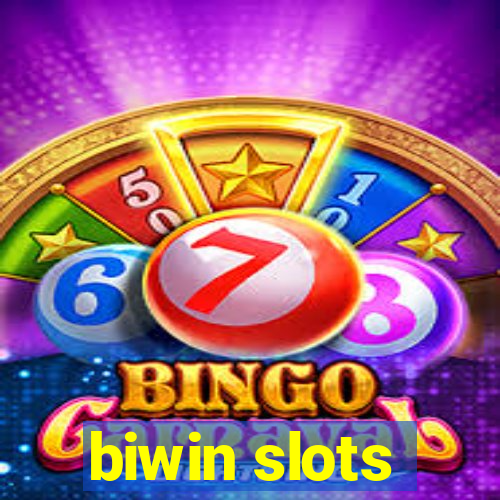 biwin slots