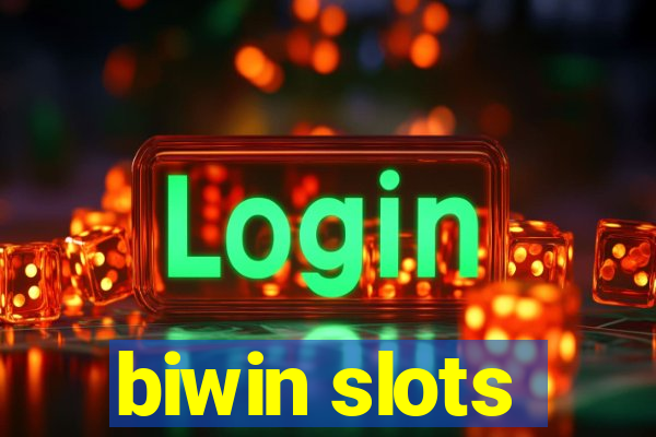 biwin slots