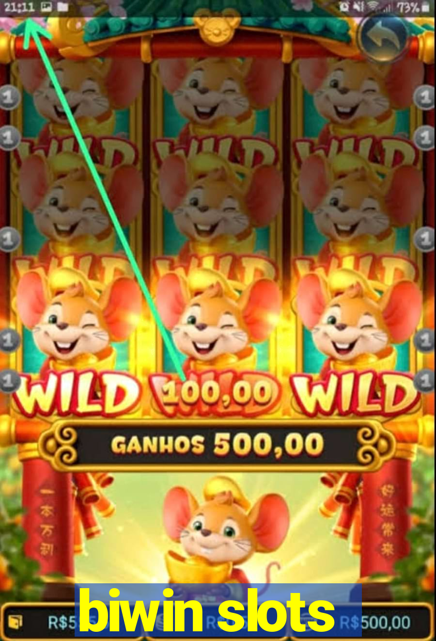 biwin slots