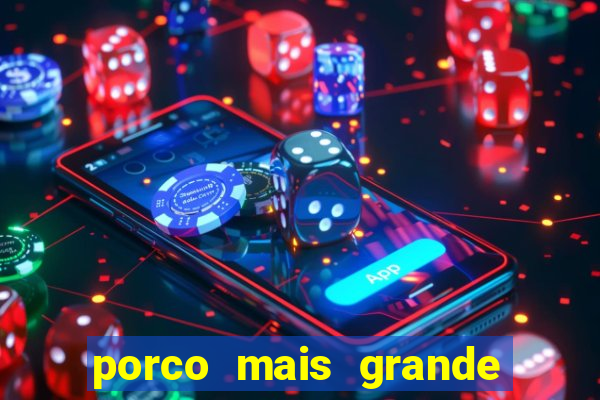 porco mais grande do mundo