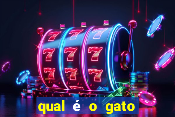 qual é o gato mais feio