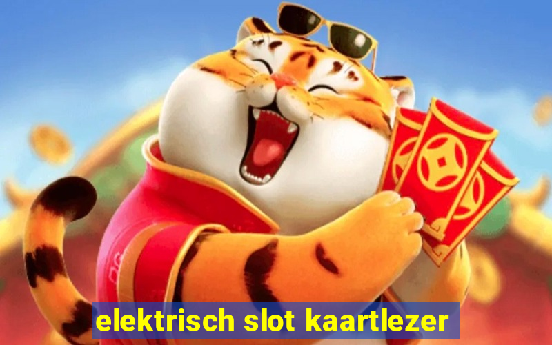 elektrisch slot kaartlezer