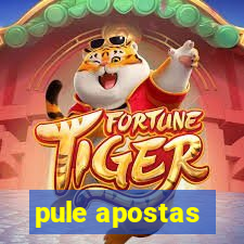 pule apostas