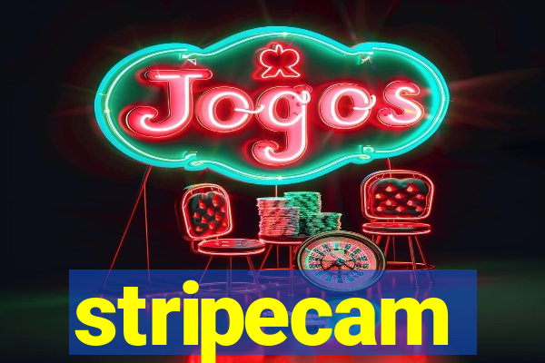 stripecam