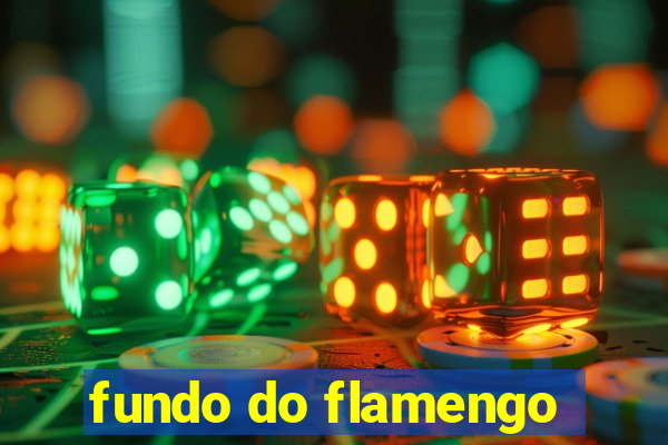 fundo do flamengo