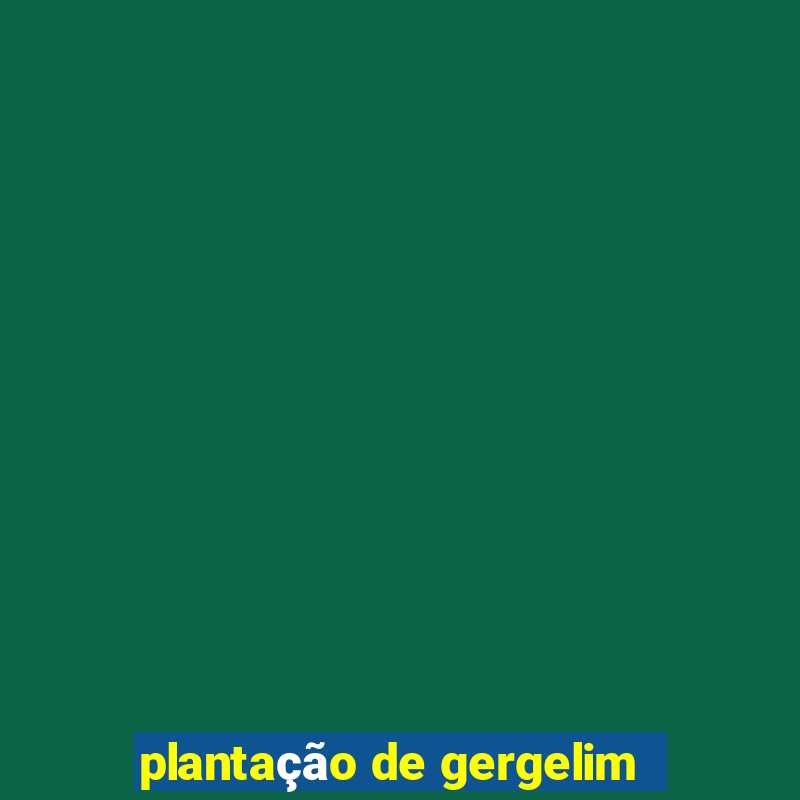 plantação de gergelim