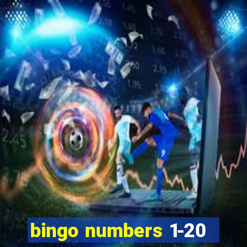 bingo numbers 1-20