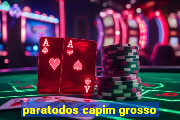 paratodos capim grosso