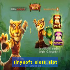 tinysoft slots slot machines & casino games