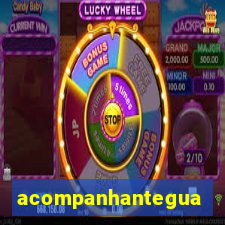 acompanhanteguanambi